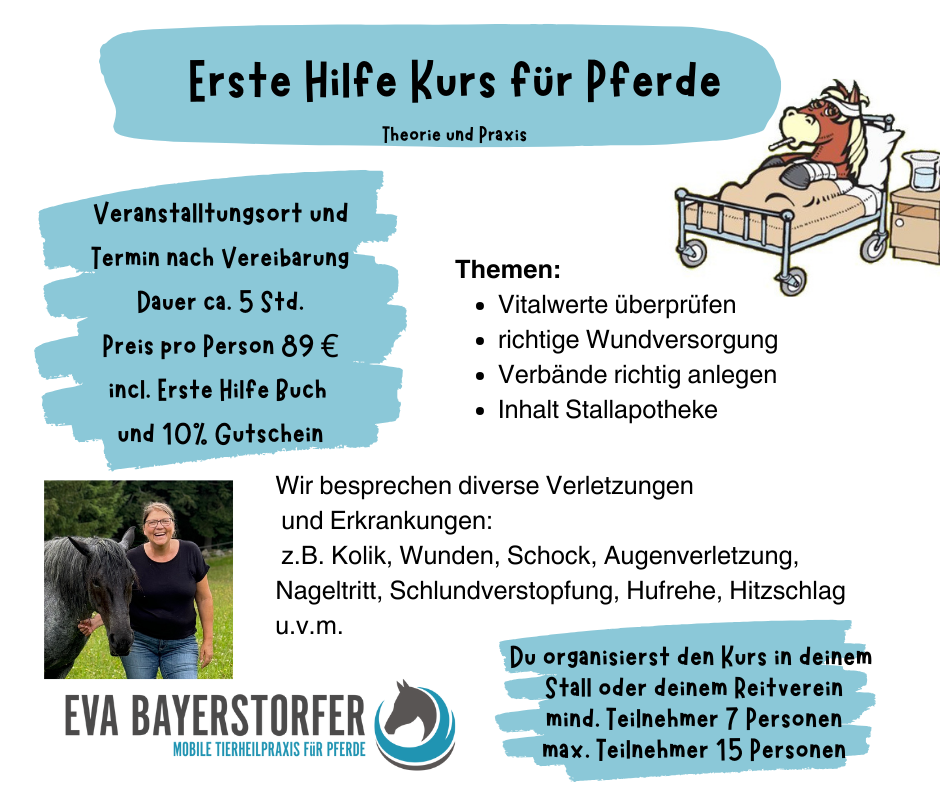 Erste Hilfe Kurs