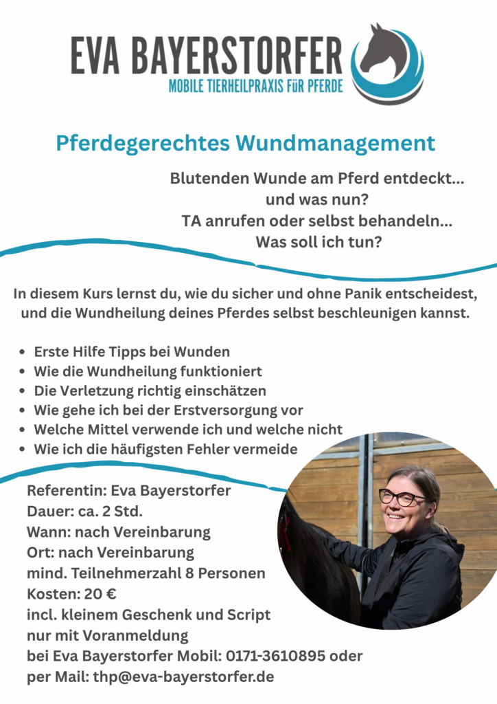 Wundversorgung neus Bild Internetseite
